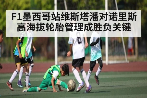 F1墨西哥站维斯塔潘对诺里斯高海拔轮胎管理成胜负关键