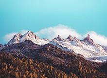 ESPN直播-前总裁起诉申通快递，要求分得前妻名下2028万股股权